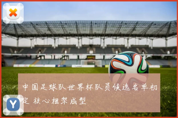 中国足球队世界杯队员候选名单初定 核心框架成型