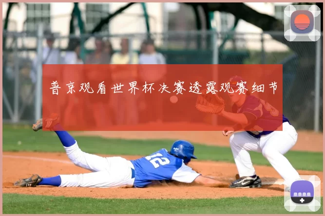 普京观看世界杯决赛透露观赛细节