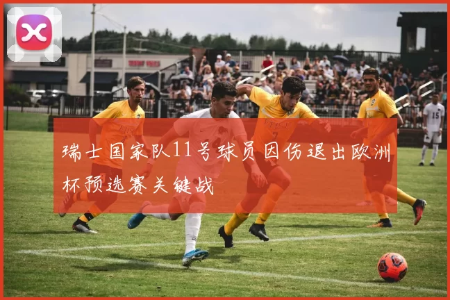 瑞士国家队11号球员因伤退出欧洲杯预选赛关键战