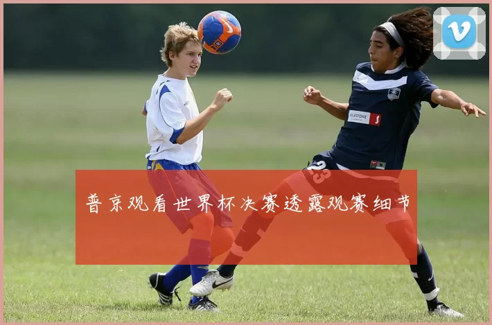 普京观看世界杯决赛透露观赛细节
