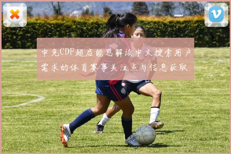 中免CDF超启能恩解读中文搜索用户需求的体育赛事关注点与信息获取路径