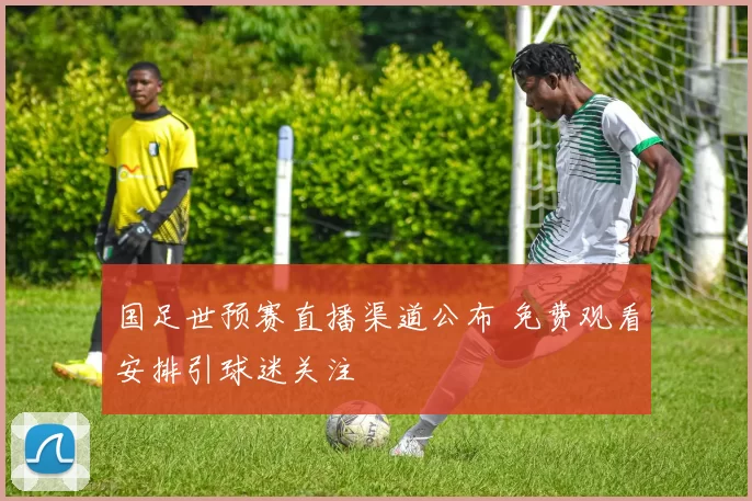 国足世预赛直播渠道公布 免费观看安排引球迷关注