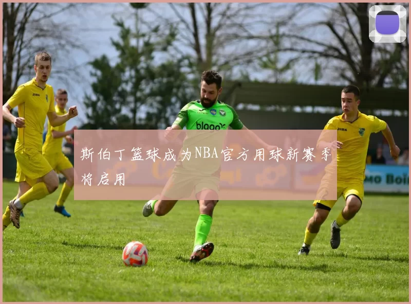 斯伯丁篮球成为NBA官方用球新赛季将启用