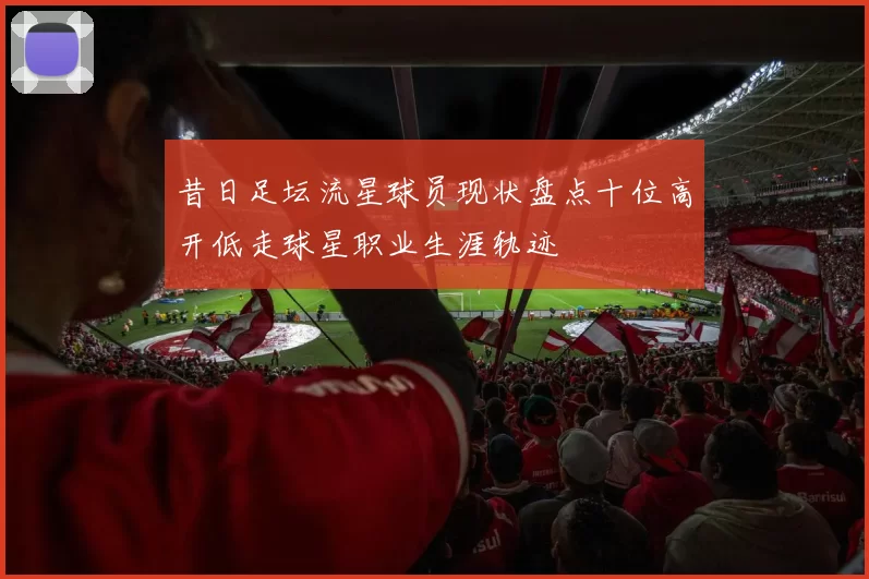 昔日足坛流星球员现状盘点十位高开低走球星职业生涯轨迹