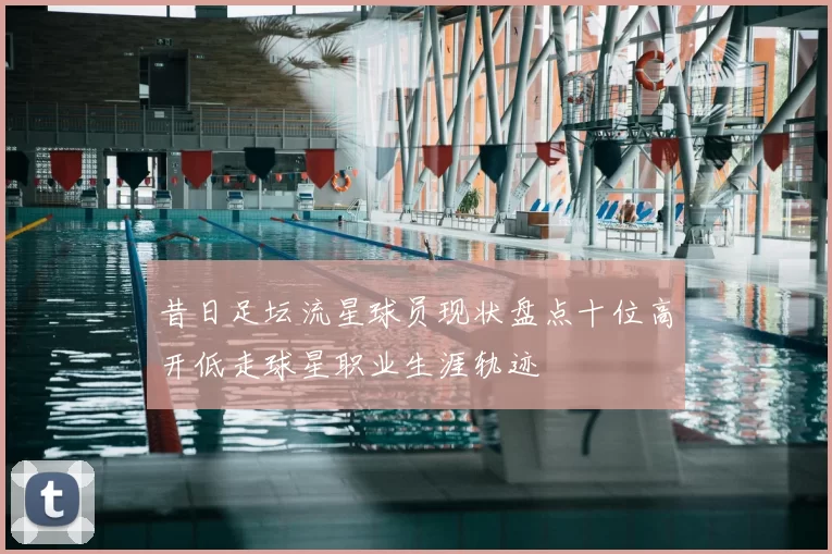 昔日足坛流星球员现状盘点十位高开低走球星职业生涯轨迹